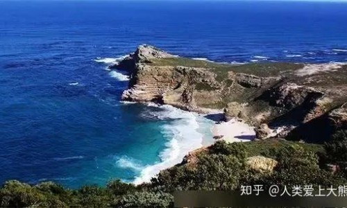 一个月的泰迪养的禁忌-一个月泰迪幼崽有卷吗网 | 小泰迪一个多月好卖吗,泰迪1个月图片